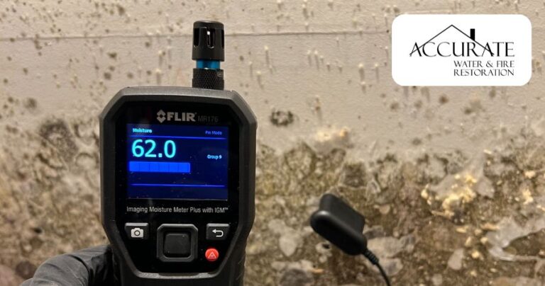 widespread mold growth